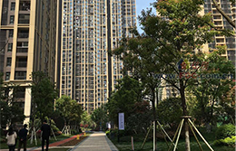 湖北武漢常青萬科城智能水表工程